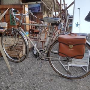 Sternen Basar 50